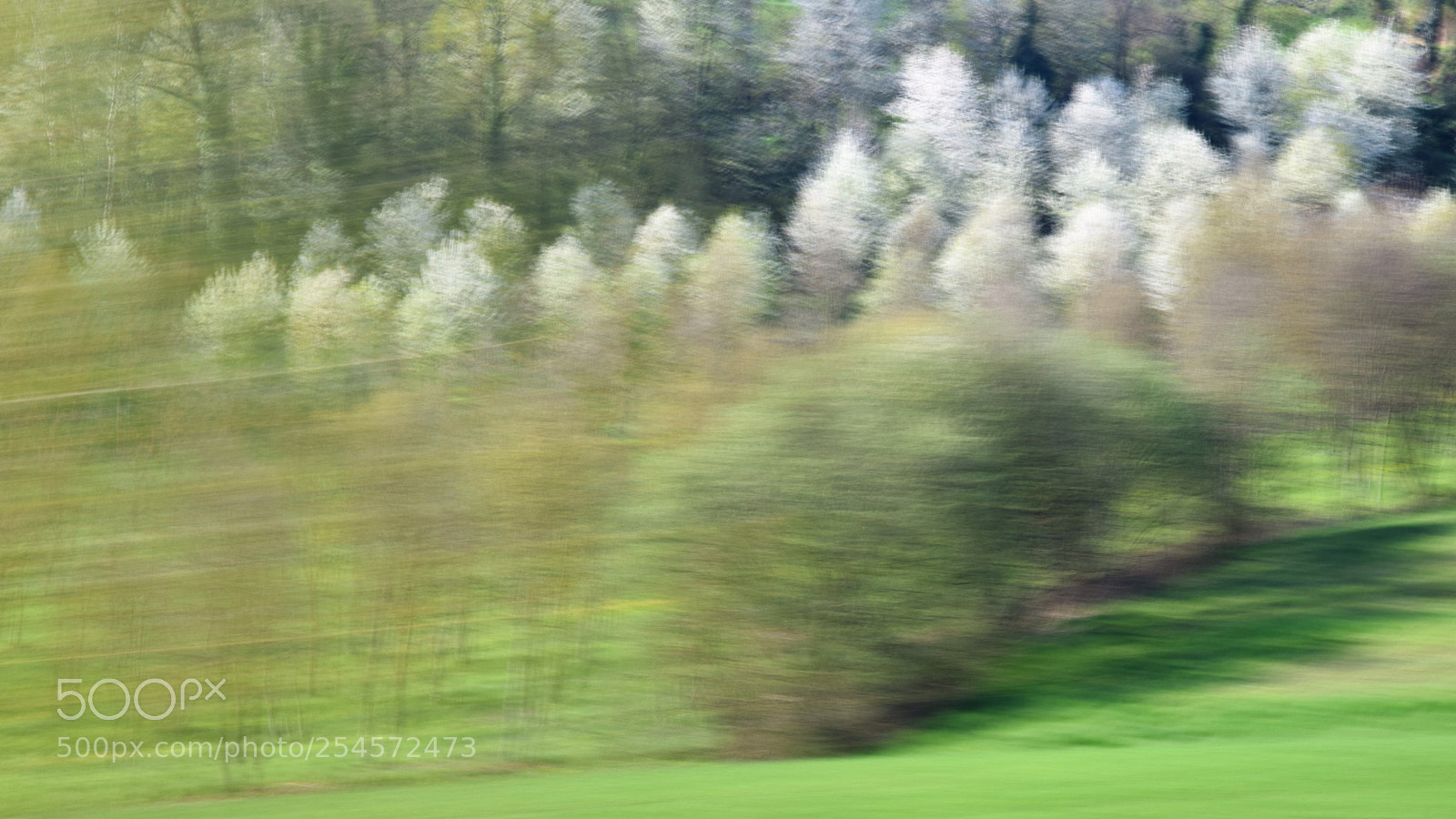 Nikon D3300 sample photo. Speed photography