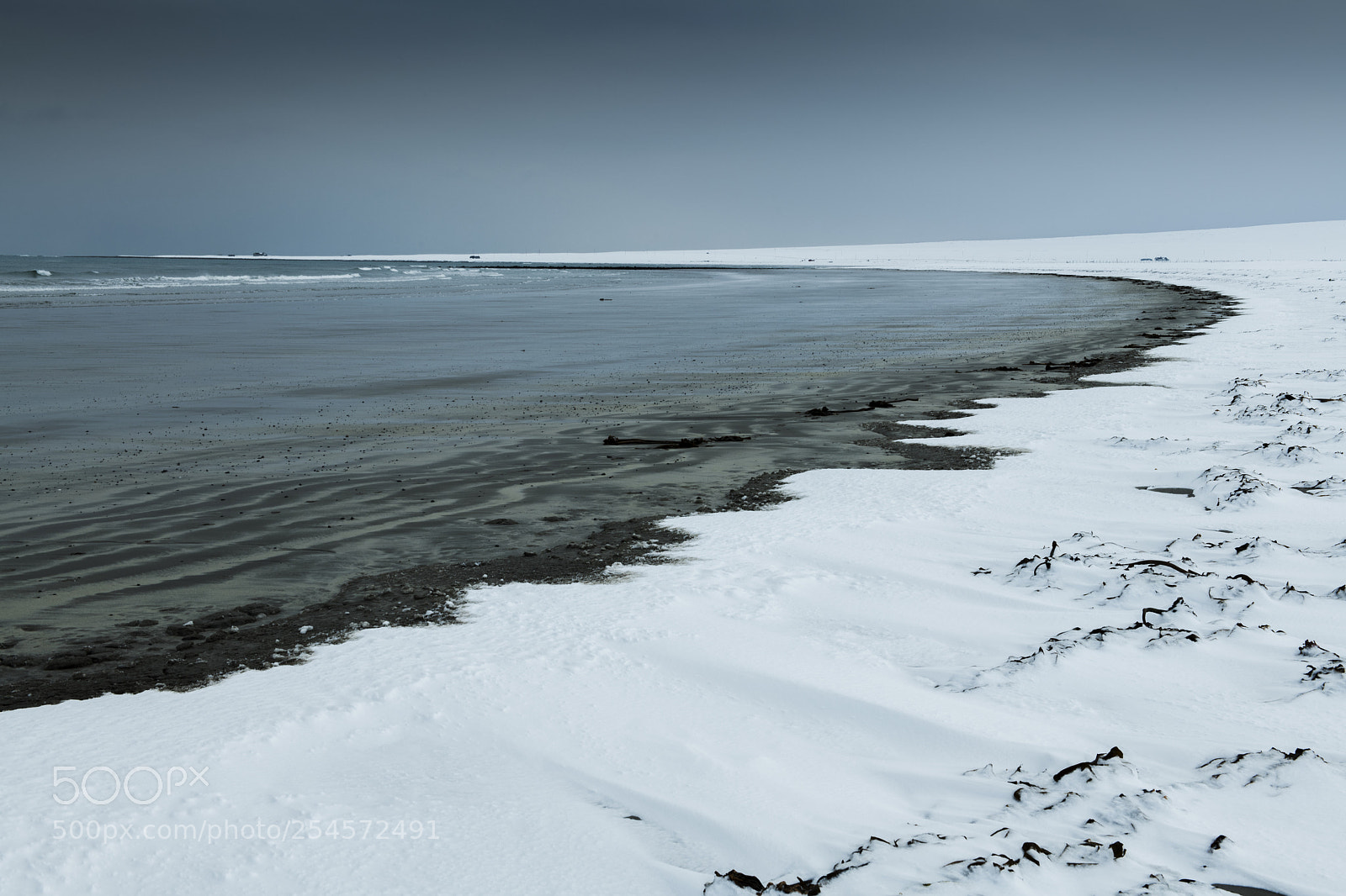 Nikon D850 sample photo. Winter beach ll photography