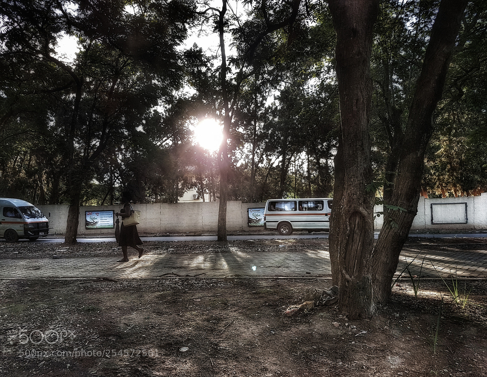 Samsung Galaxy S7 Edge sample photo. Untitled photography
