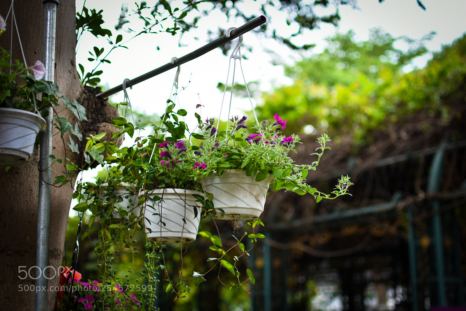 Nikon D3400 sample photo. Untitled photography