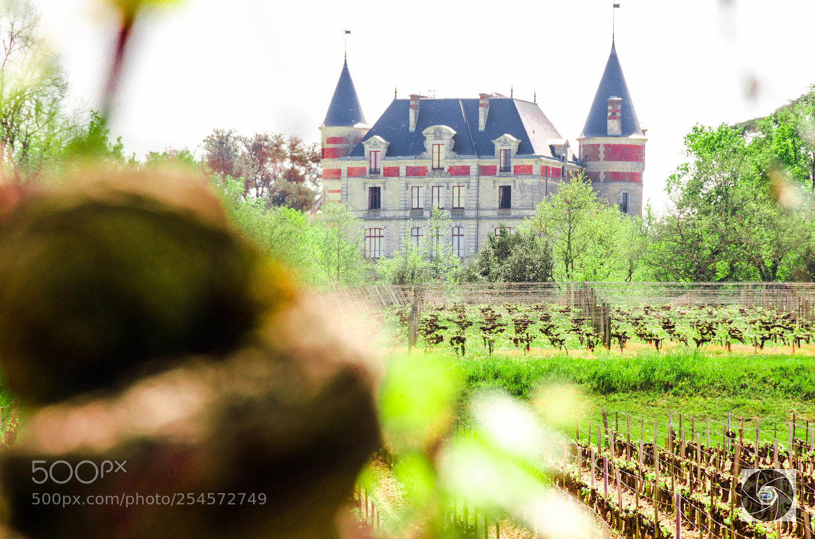 Nikon D5100 sample photo. Château rayne vigneau photography