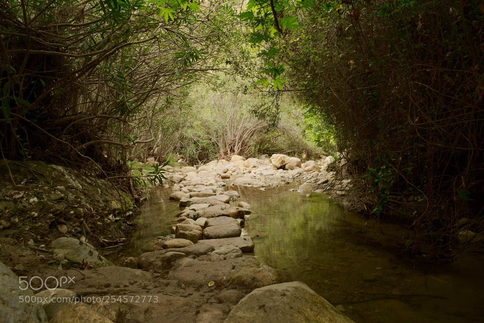Nikon D5300 sample photo. River akamas photography