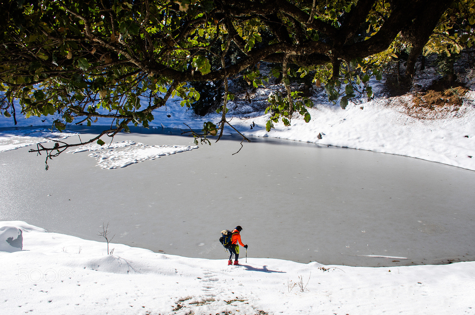 Nikon D7000 sample photo. On the ice... photography
