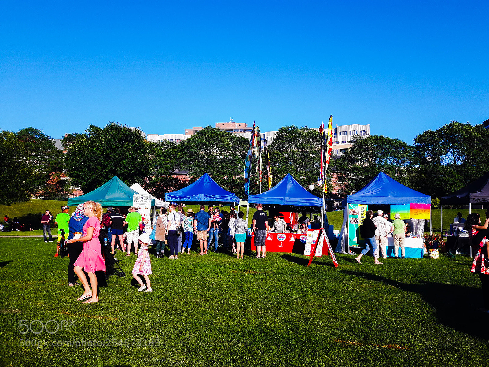 Samsung Galaxy S5 Neo sample photo. Summer festival photography