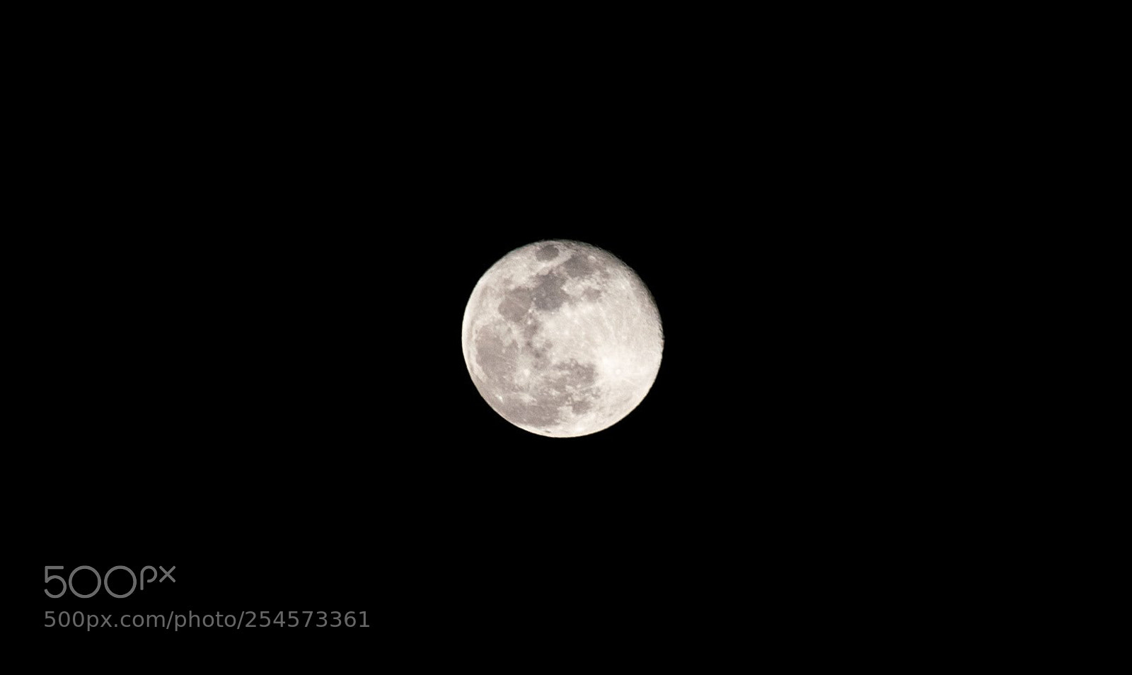 Nikon D7500 sample photo. Desert moon photography