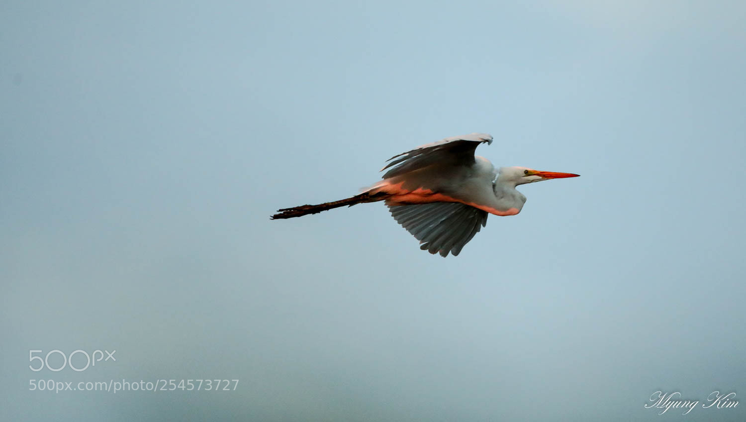 Canon EOS 5D Mark IV sample photo. 3p5a4374-7.jpg photography