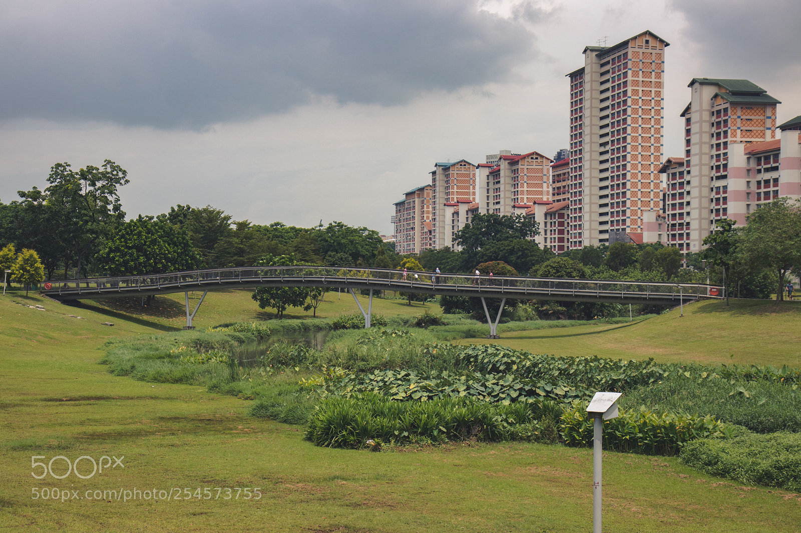 Canon EOS 80D sample photo. Urban x nature photography