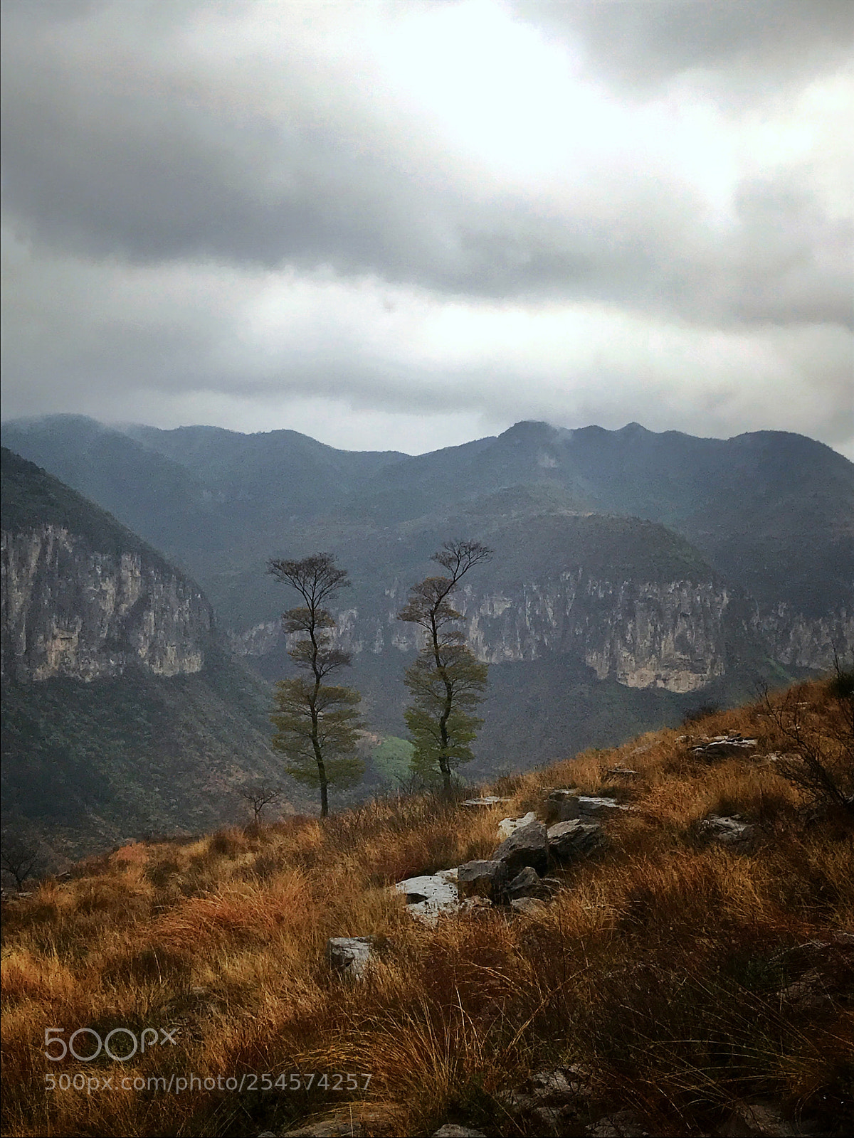Apple iPhone 7 sample photo. 黄泽关 photography