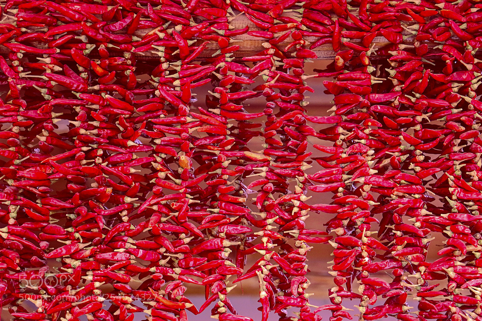 Canon EOS 70D sample photo. 【color explosion】red pepper photography