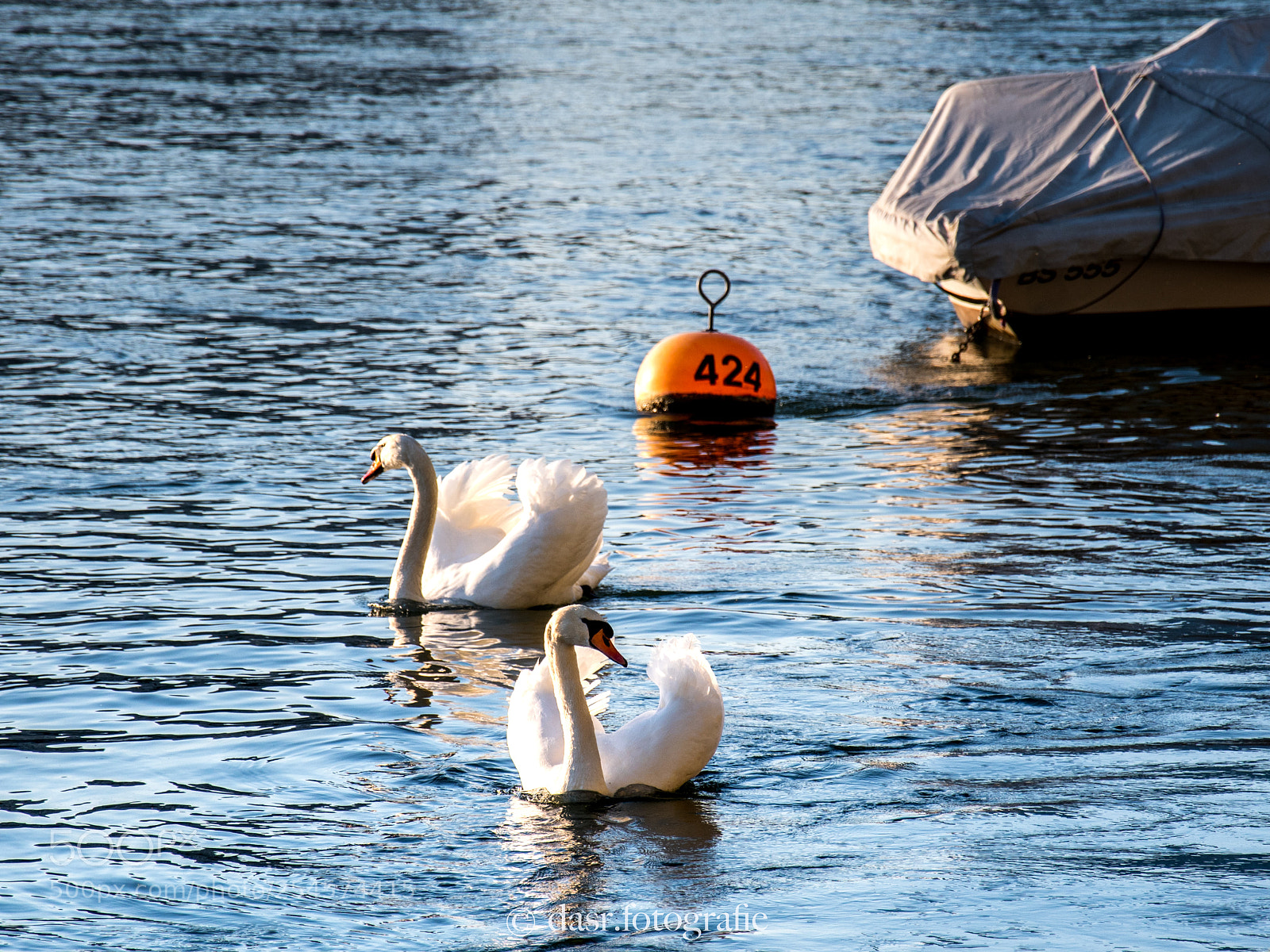 Nikon D500 sample photo. Enjoying the weekend photography