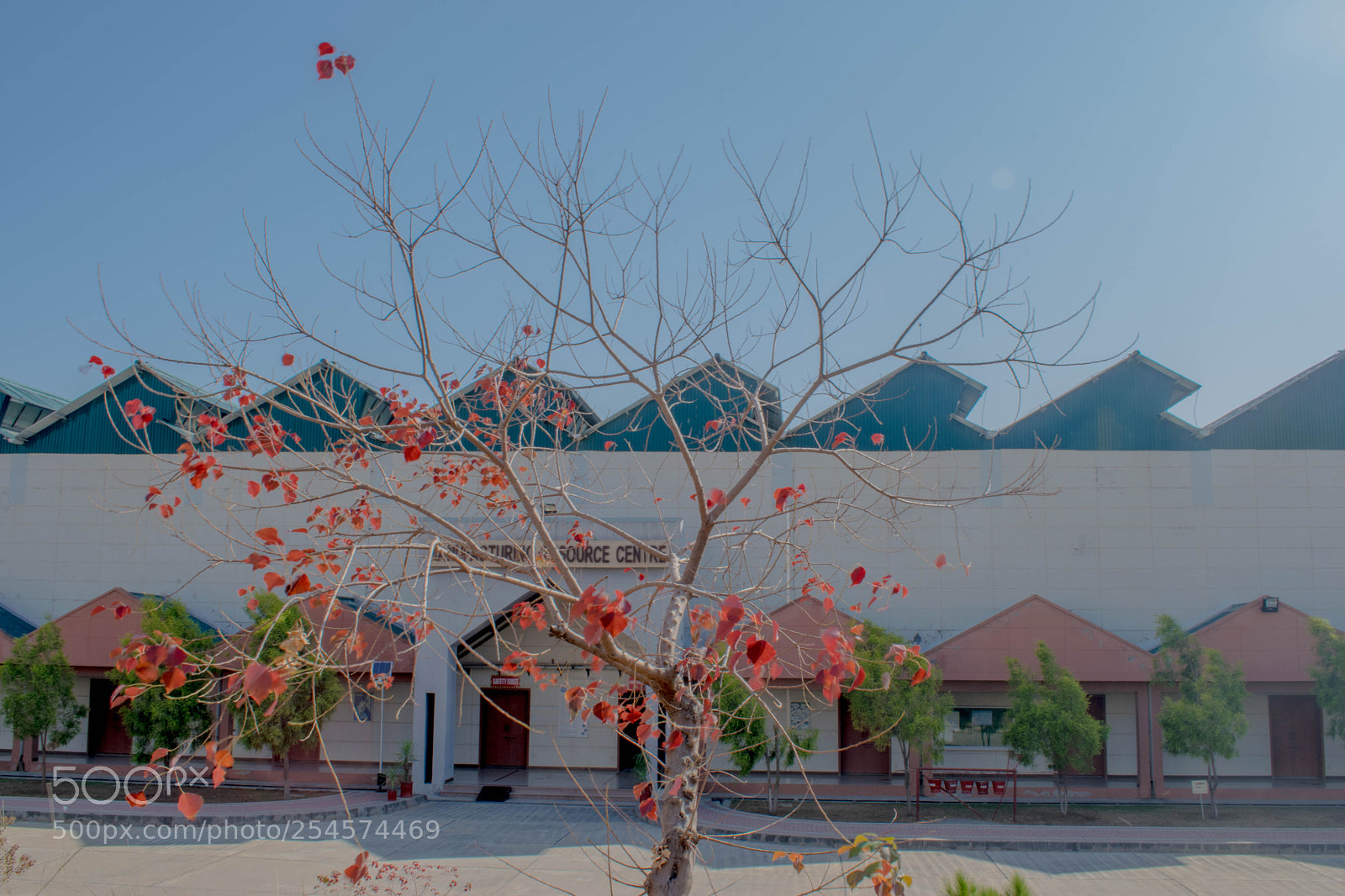Nikon D3300 sample photo. Autumn photography