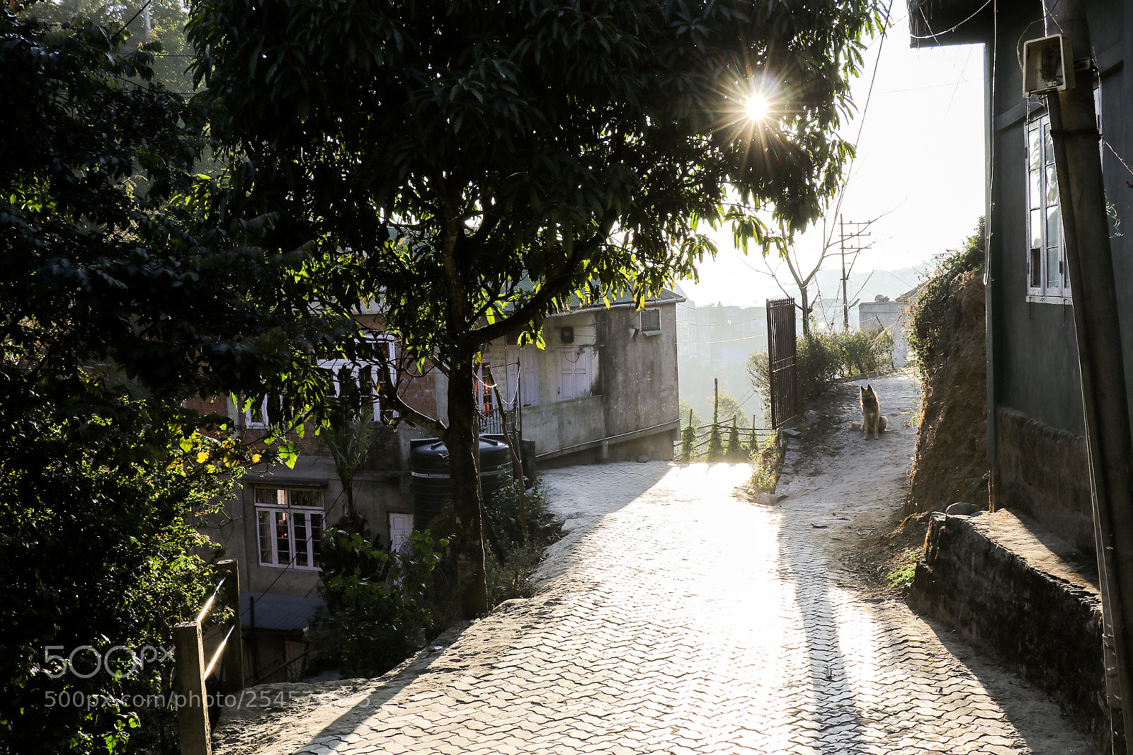Canon EOS 80D sample photo. Untitled photography