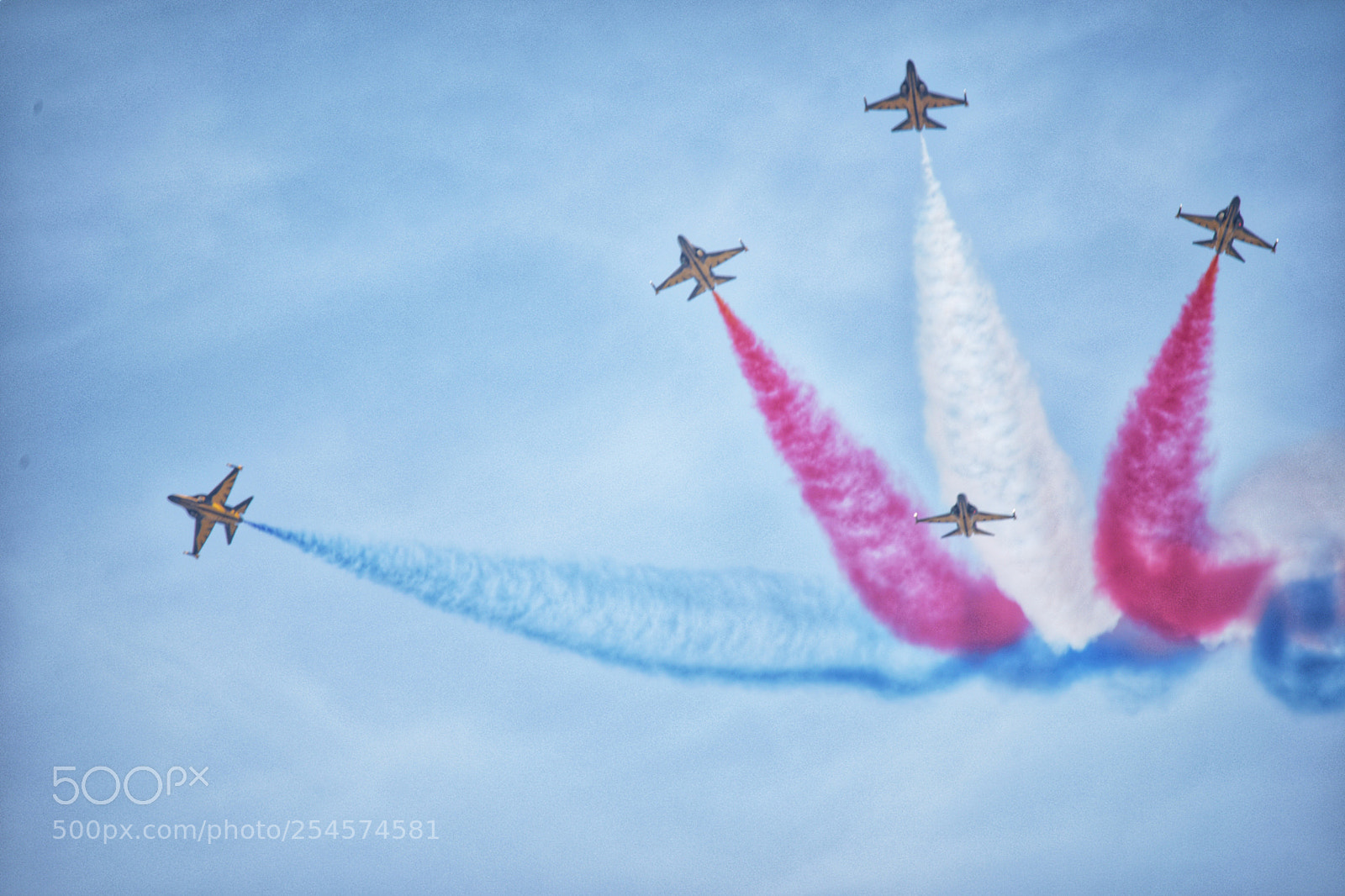 Nikon D810 sample photo. Black eagles - air photography