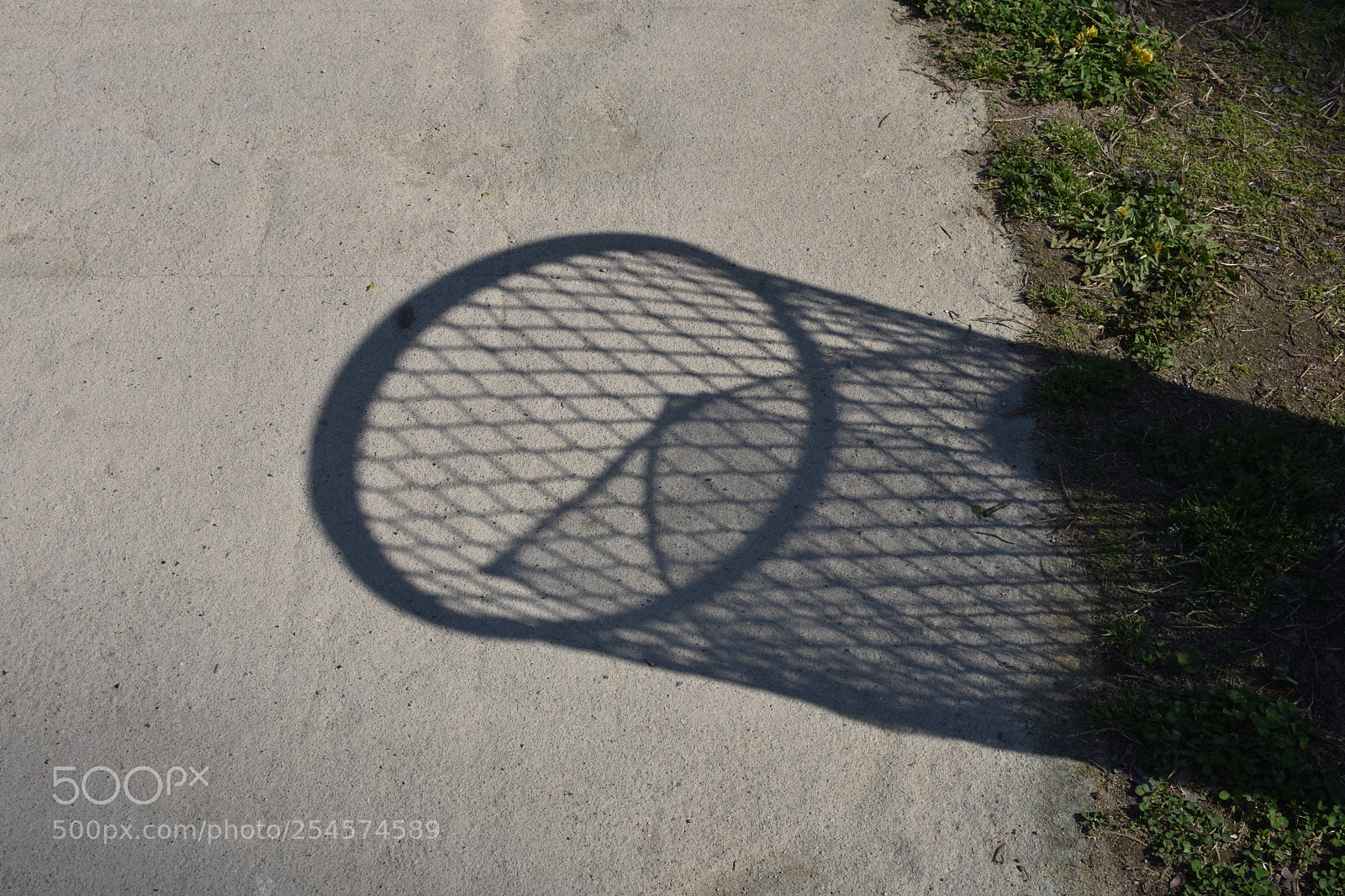 Nikon D3400 sample photo. Untitled photography