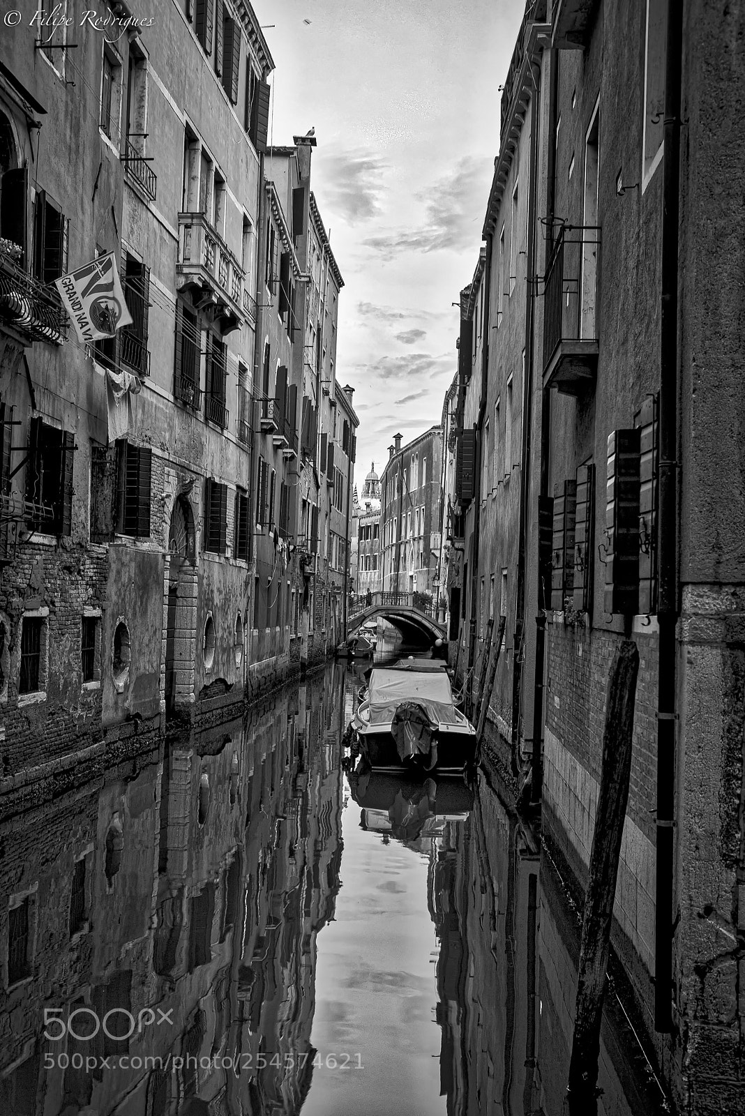 Nikon D800E sample photo. Untitled photography