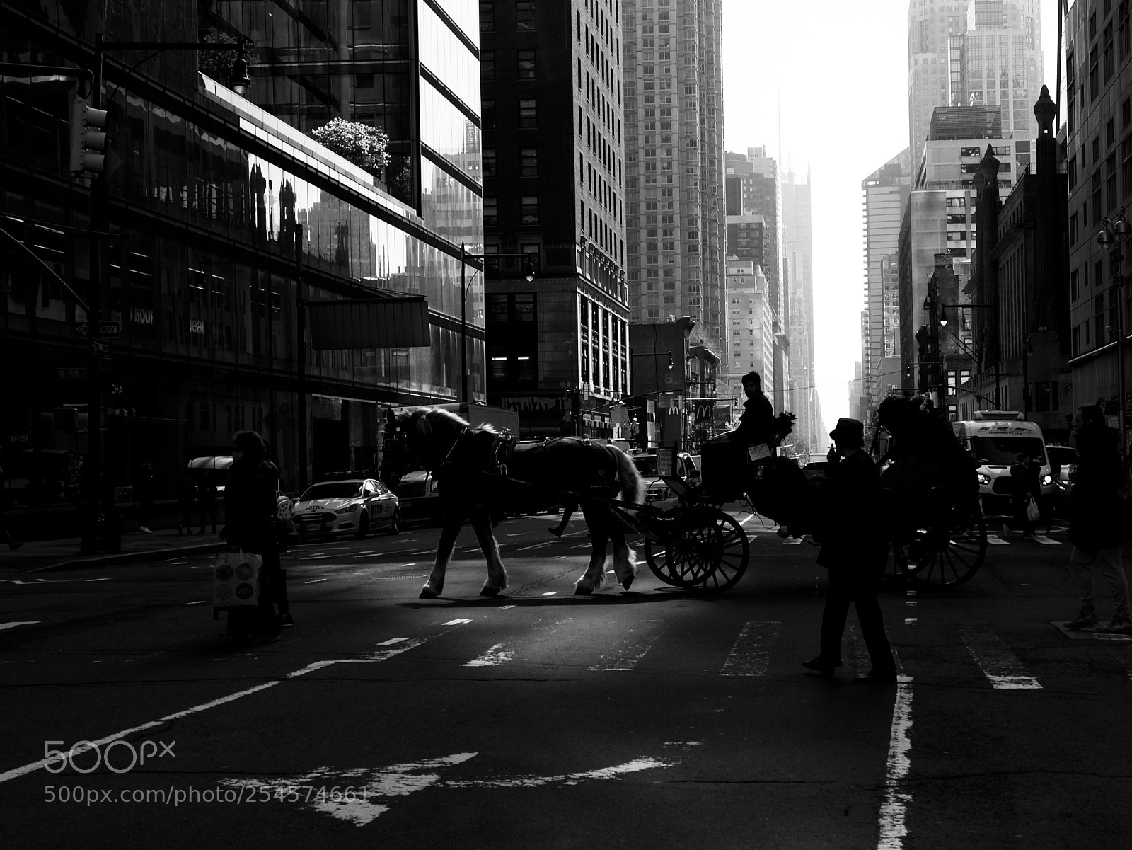 Panasonic Lumix DC-GH5 sample photo. Horse and street photography
