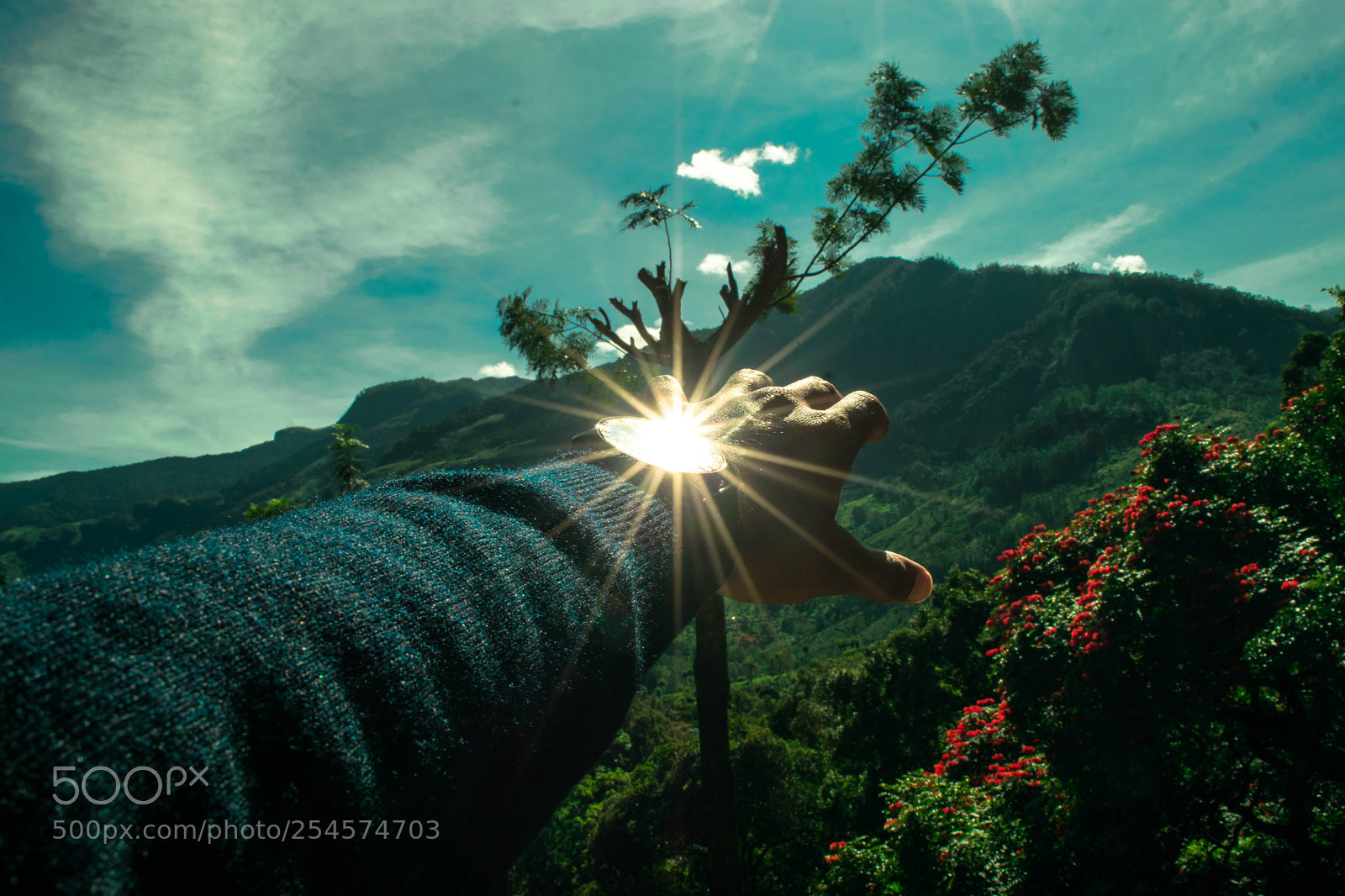 Nikon D3300 sample photo. Light of life captured photography
