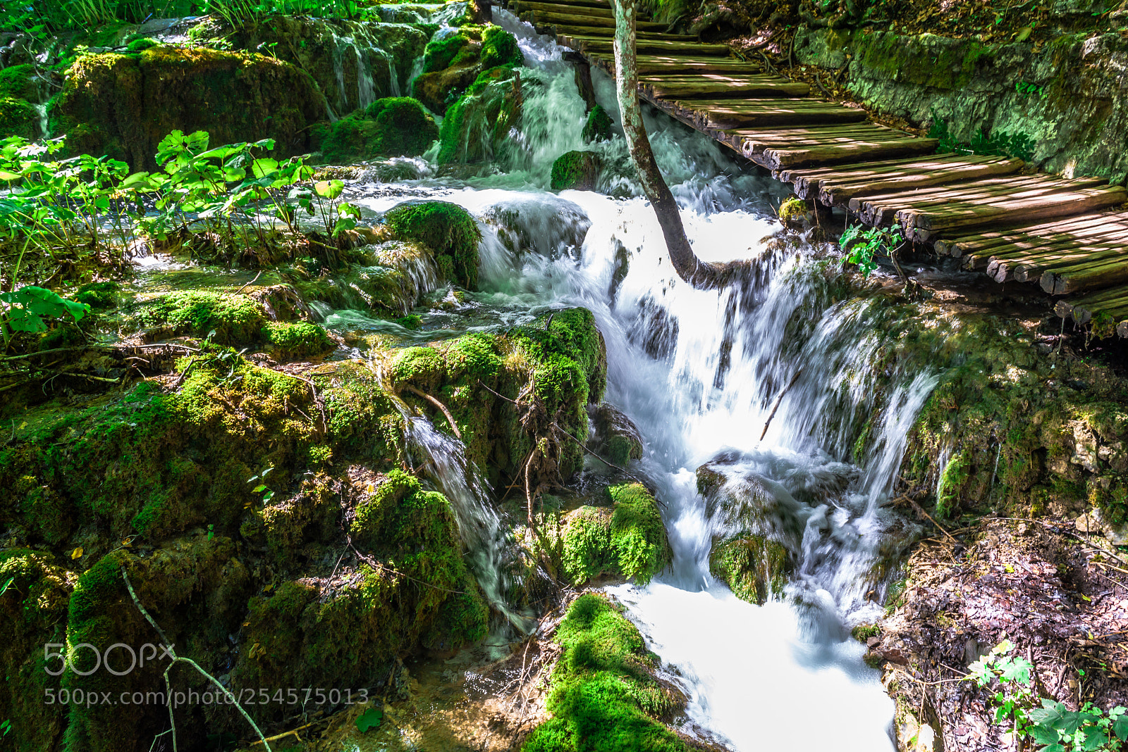 Nikon D810 sample photo. Waterfalls under the steps photography