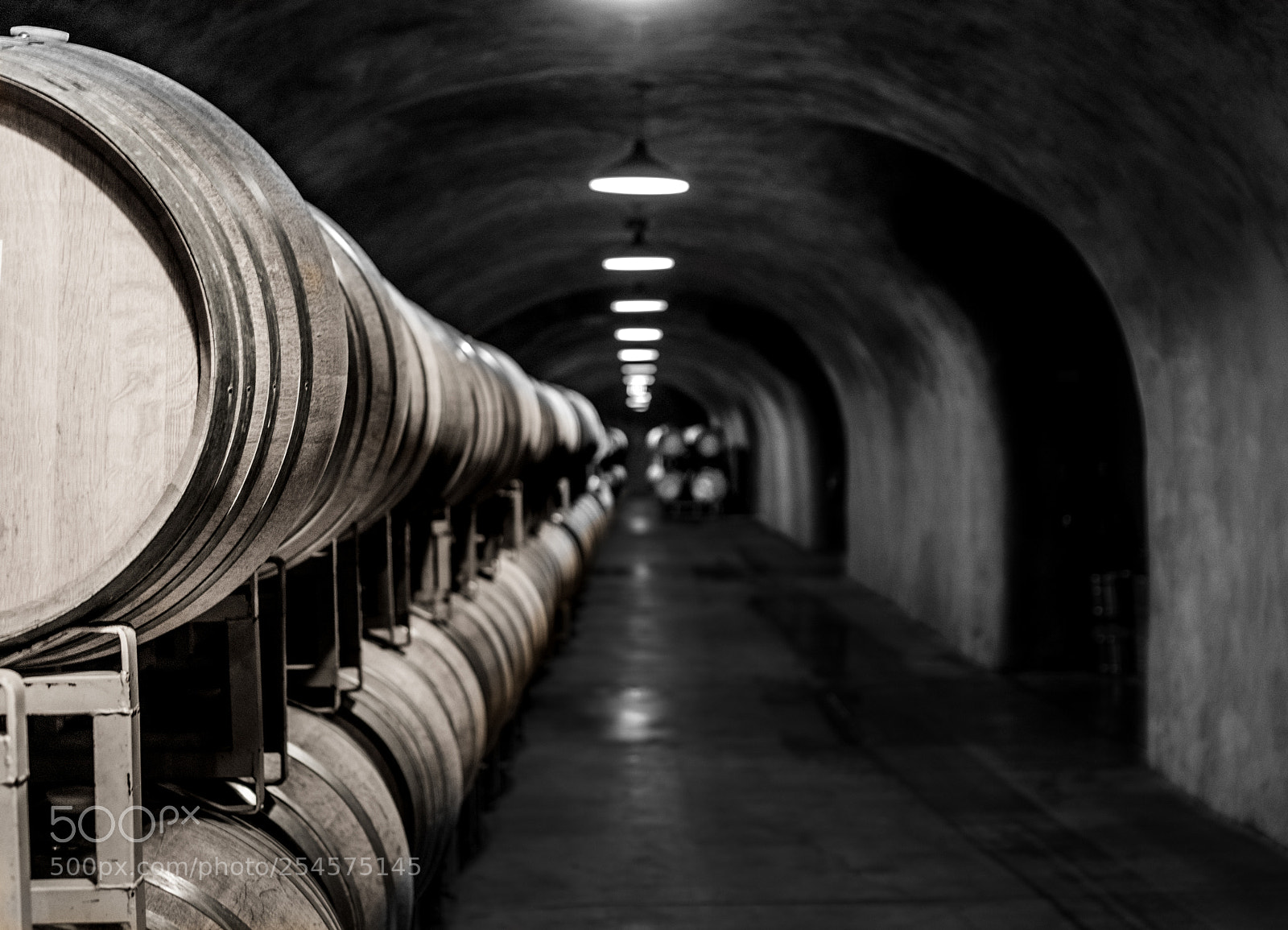 Sony a6000 sample photo. Wine barrels cavern photography