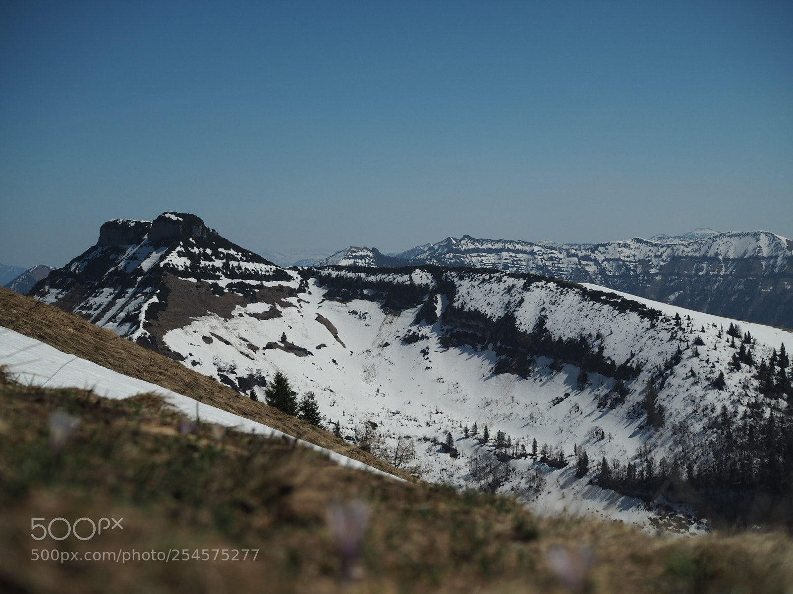 Olympus OM-D E-M10 III sample photo. Schmittenstein photography