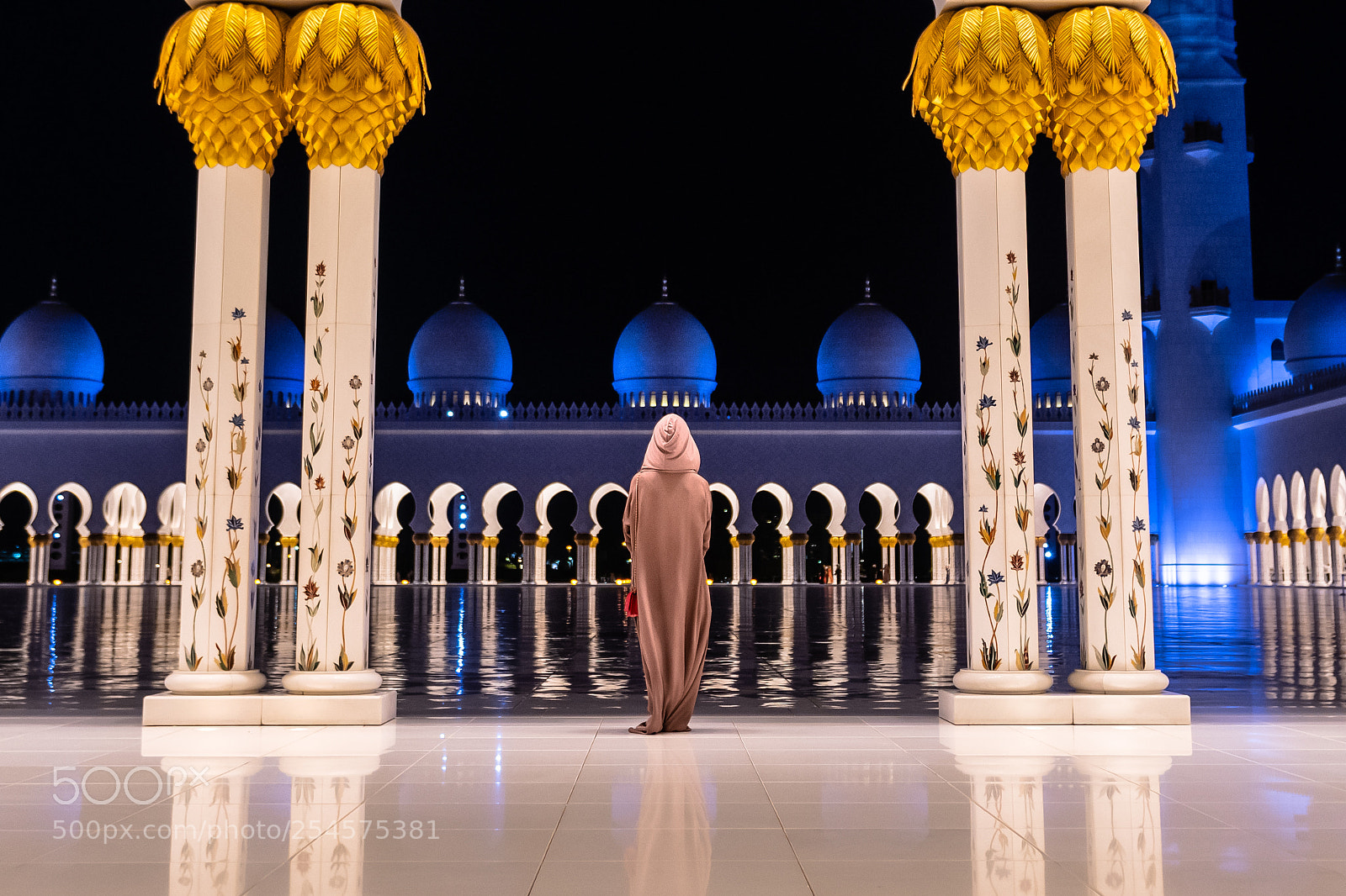 Nikon D850 sample photo. Woman gazes toward grand photography