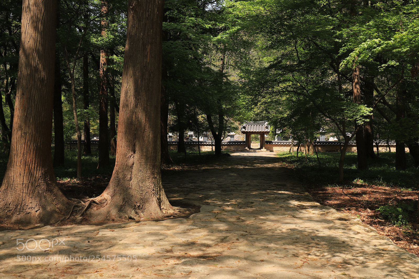 Canon EOS 6D Mark II sample photo. Gateway photography