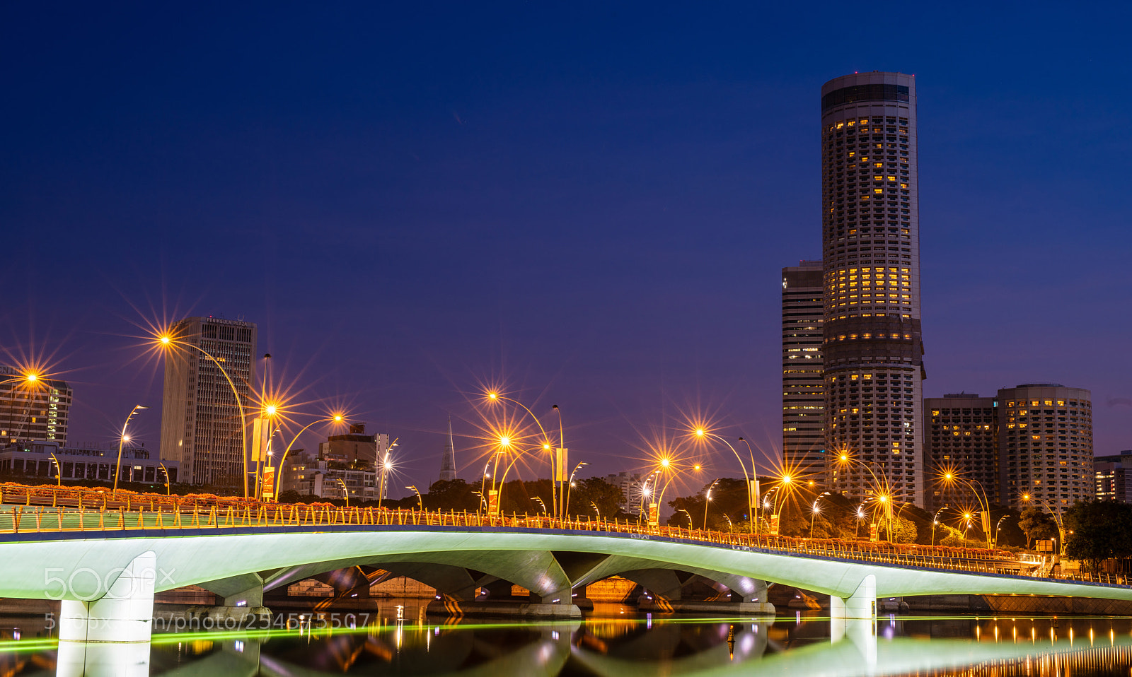Nikon D810 sample photo. Esplanade bridge, singapore photography