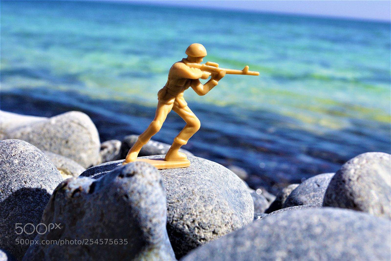 Sony SLT-A65 (SLT-A65V) sample photo. Like a toy soldier photography