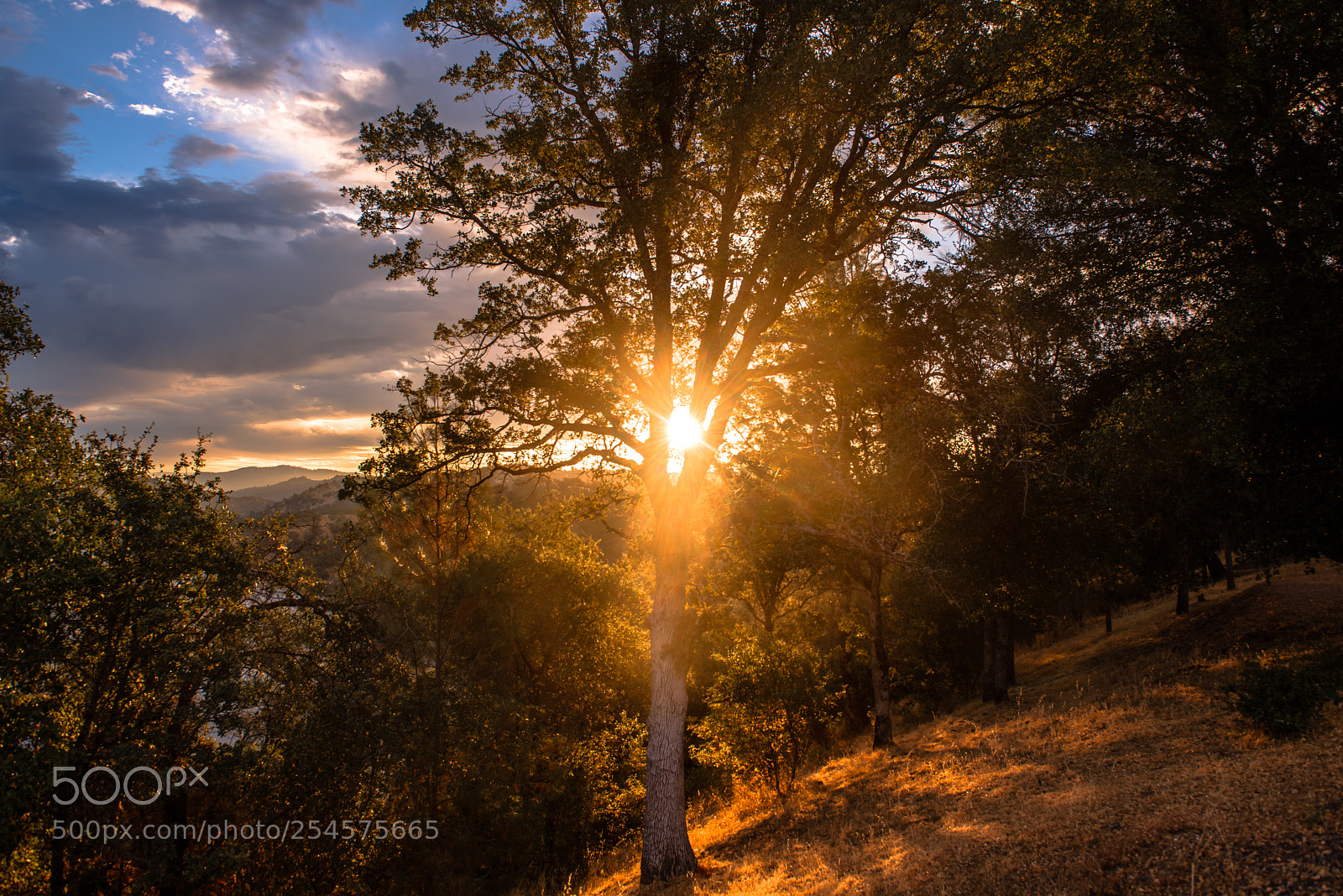 Nikon D810 sample photo. Yosemite national park california photography