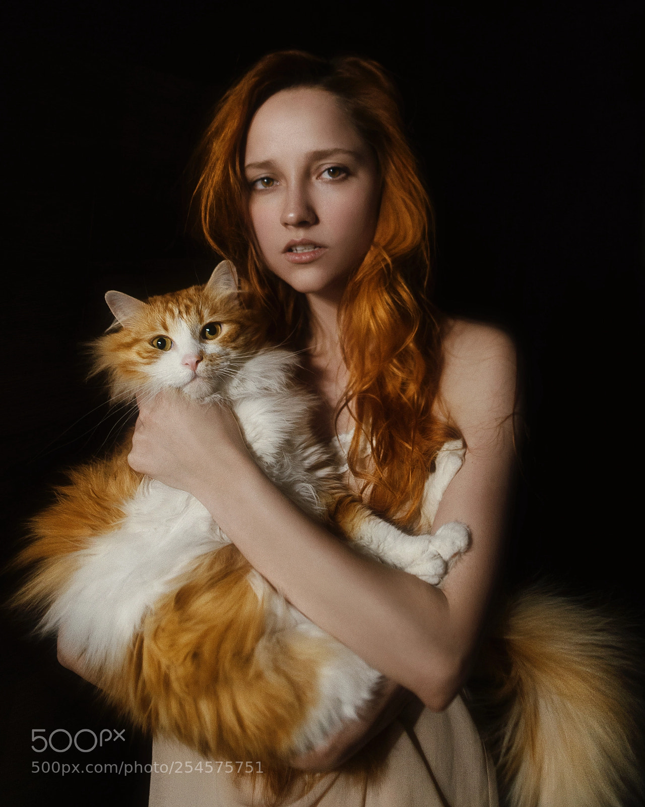 Nikon D800 sample photo. Alexia photography