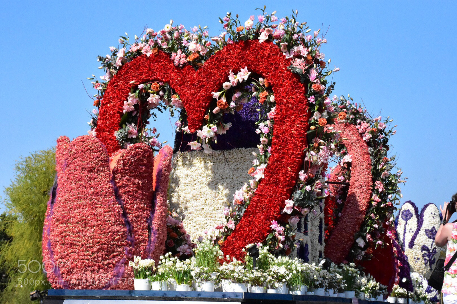 Nikon D7200 sample photo. Flowerparade photography