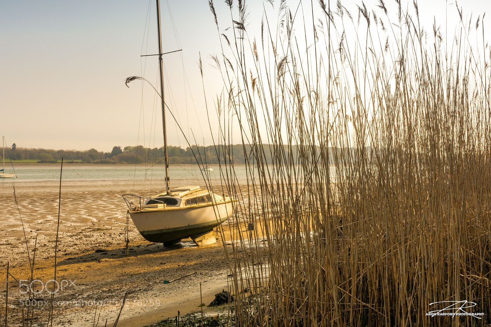 Nikon D7100 sample photo. High and dry in photography