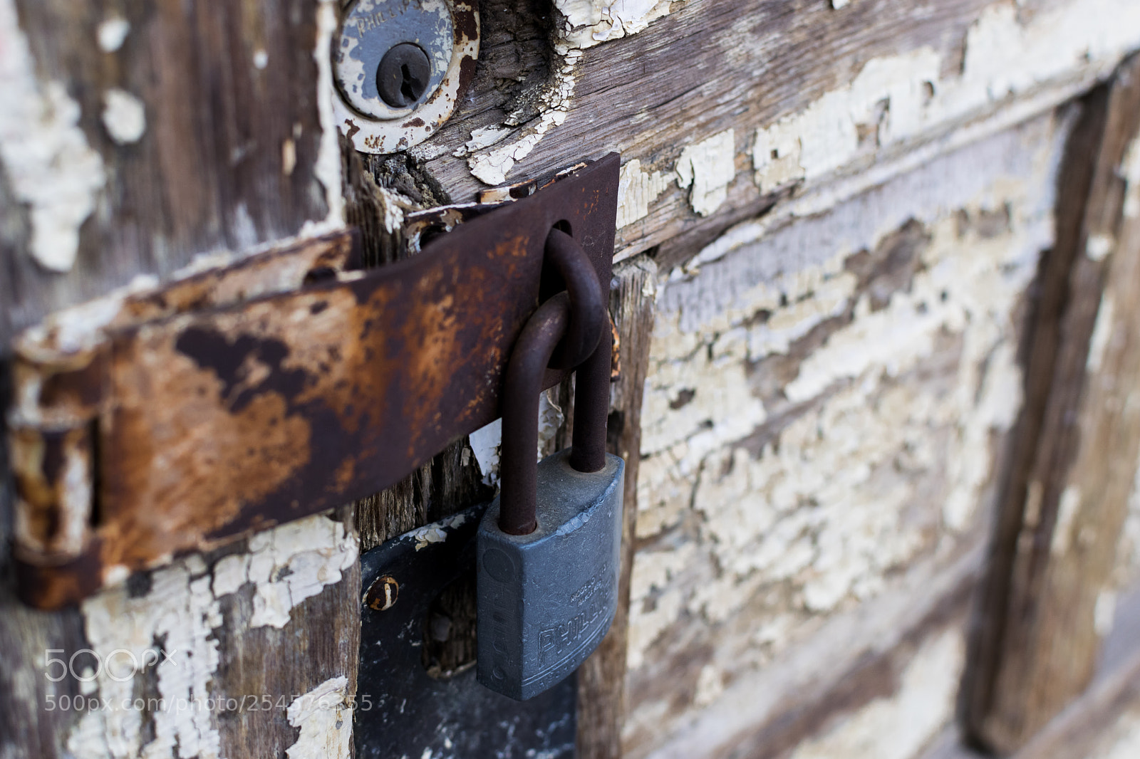 Nikon D3300 sample photo. Locked photography