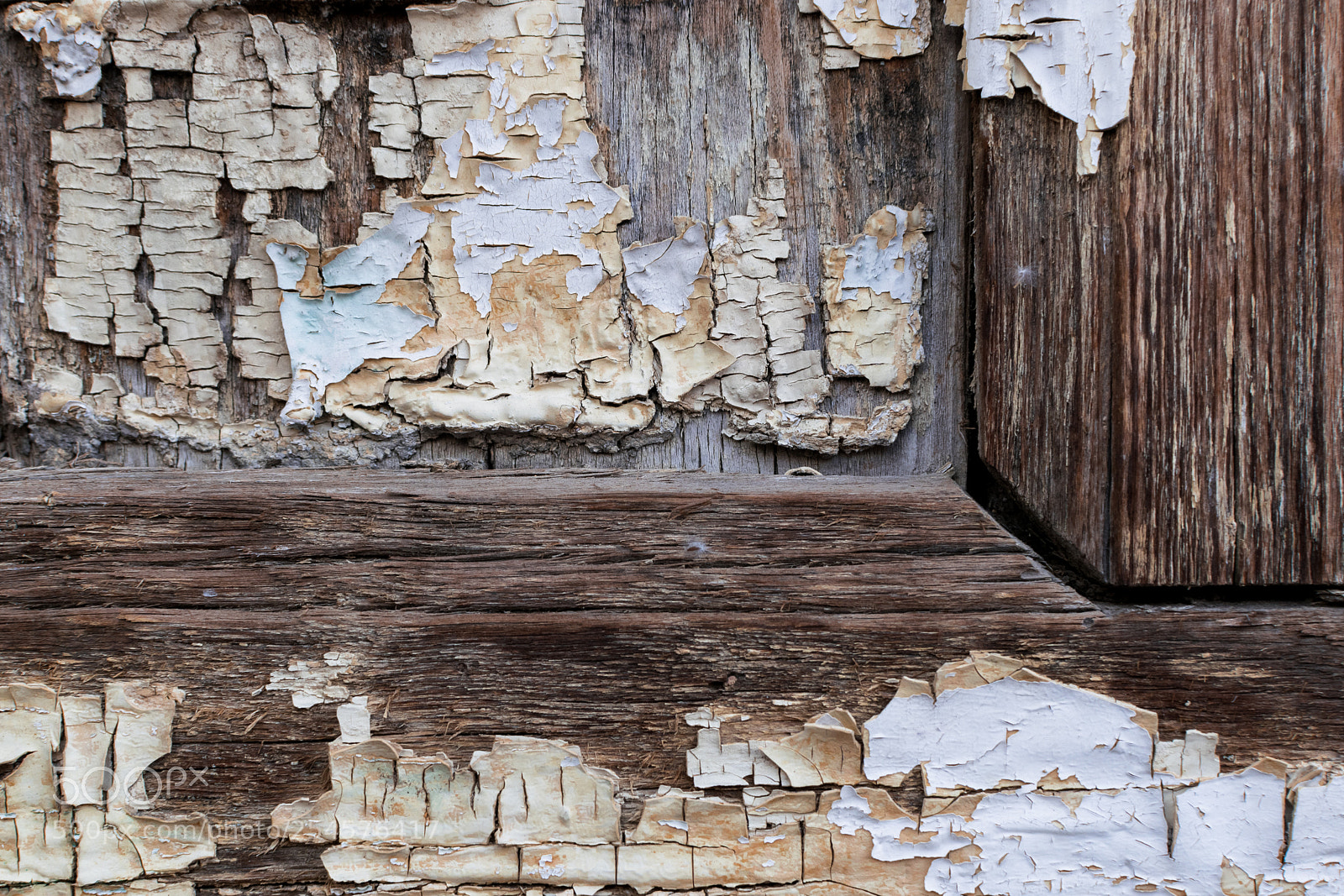 Nikon D3300 sample photo. Beaten photography
