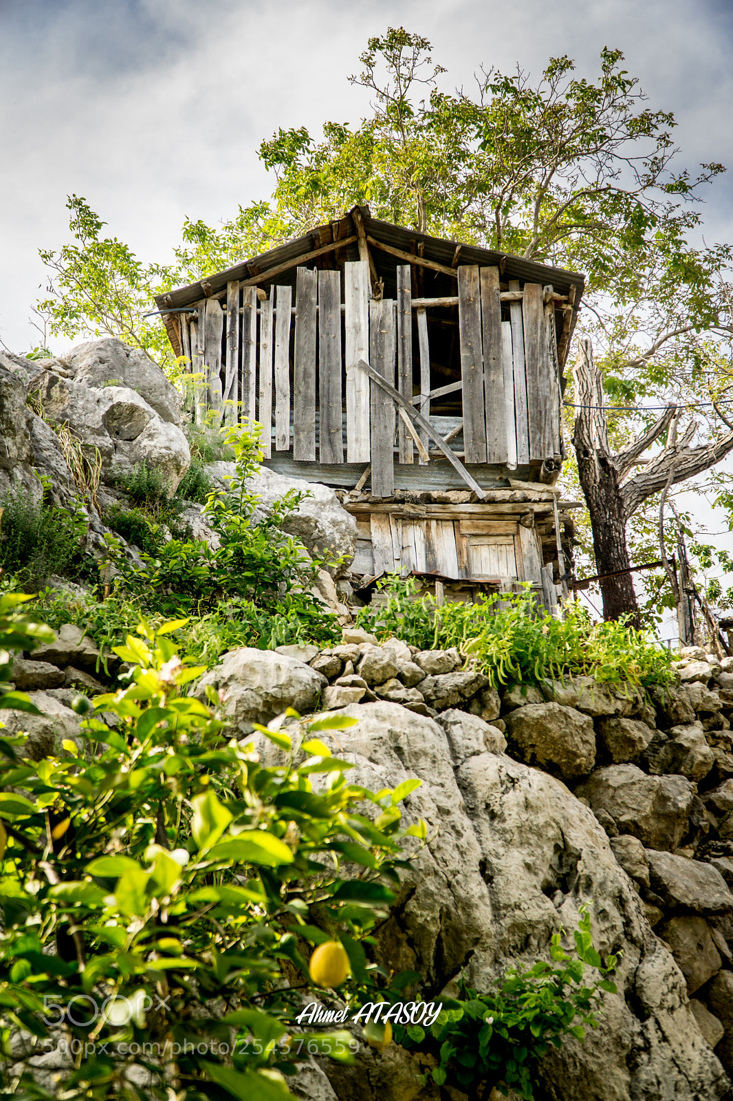 Sony a6000 sample photo. Köy kulübesi photography