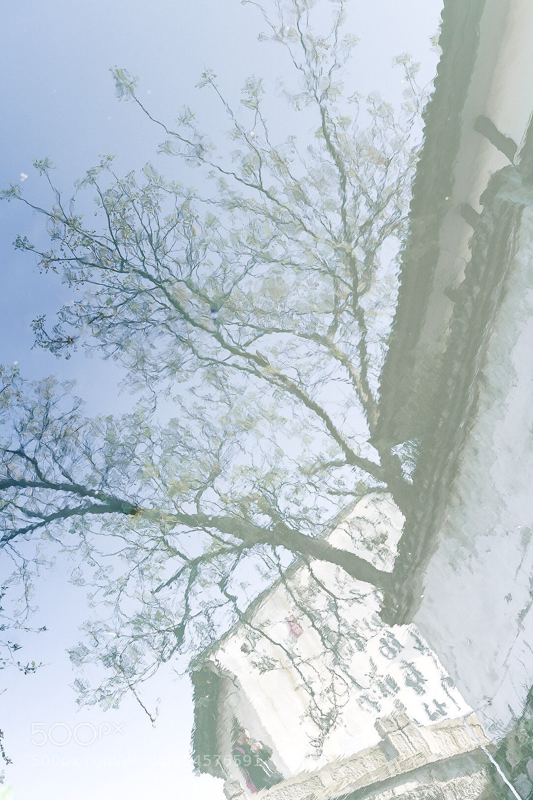 Nikon D850 sample photo. Parallel universe  photography