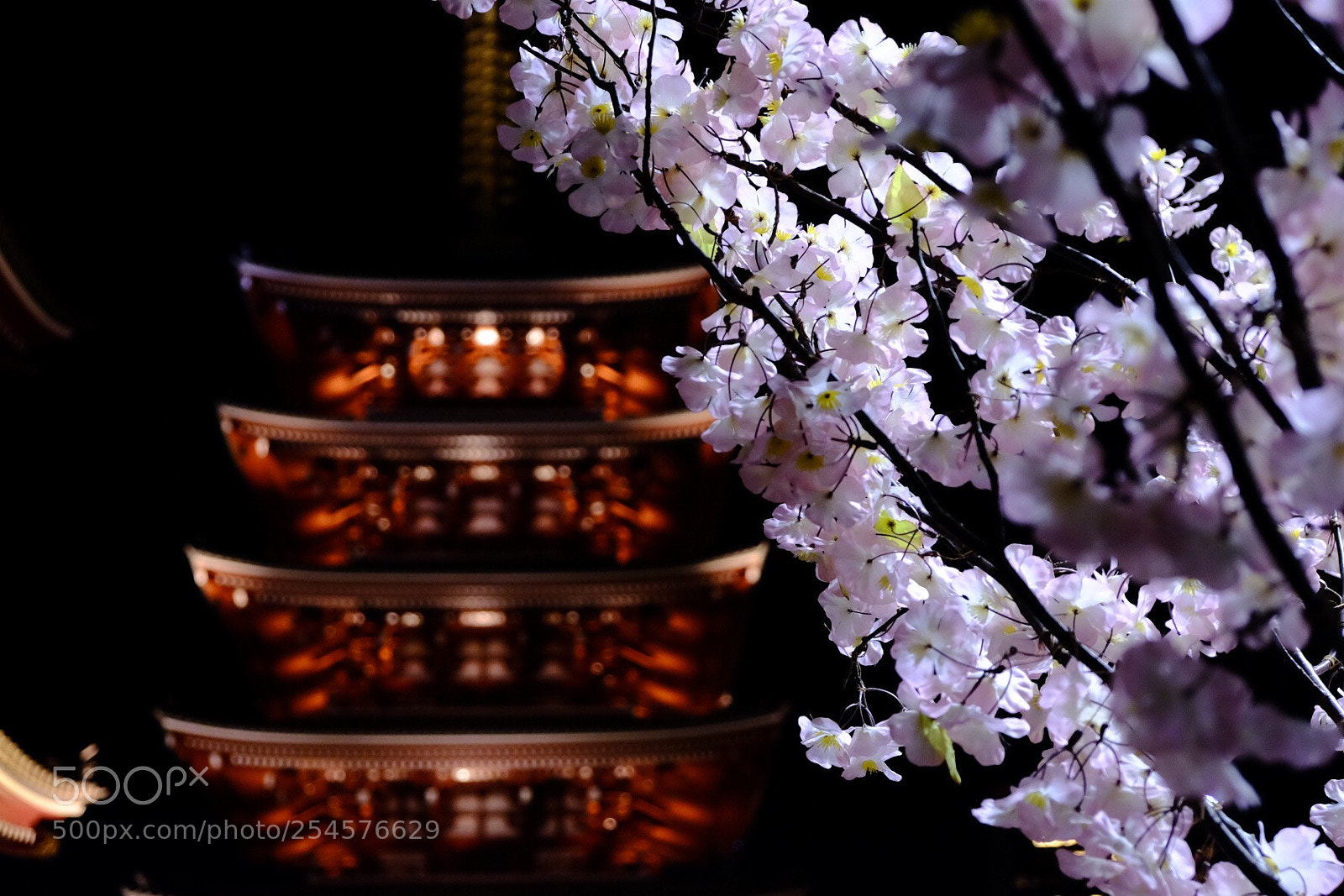 Fujifilm X-T1 sample photo. Untitled photography