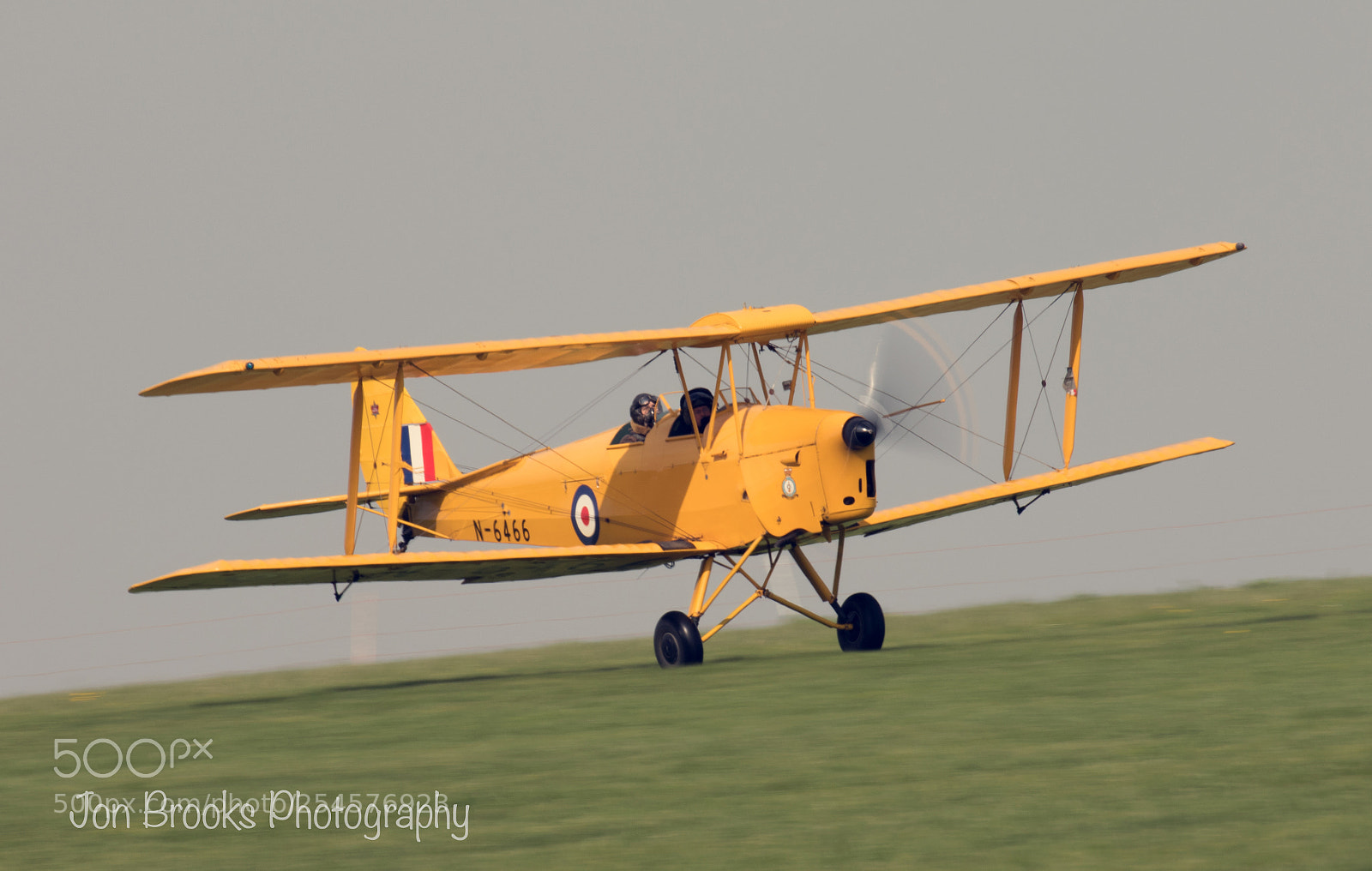 Canon EOS 7D Mark II sample photo. Tiger moth photography