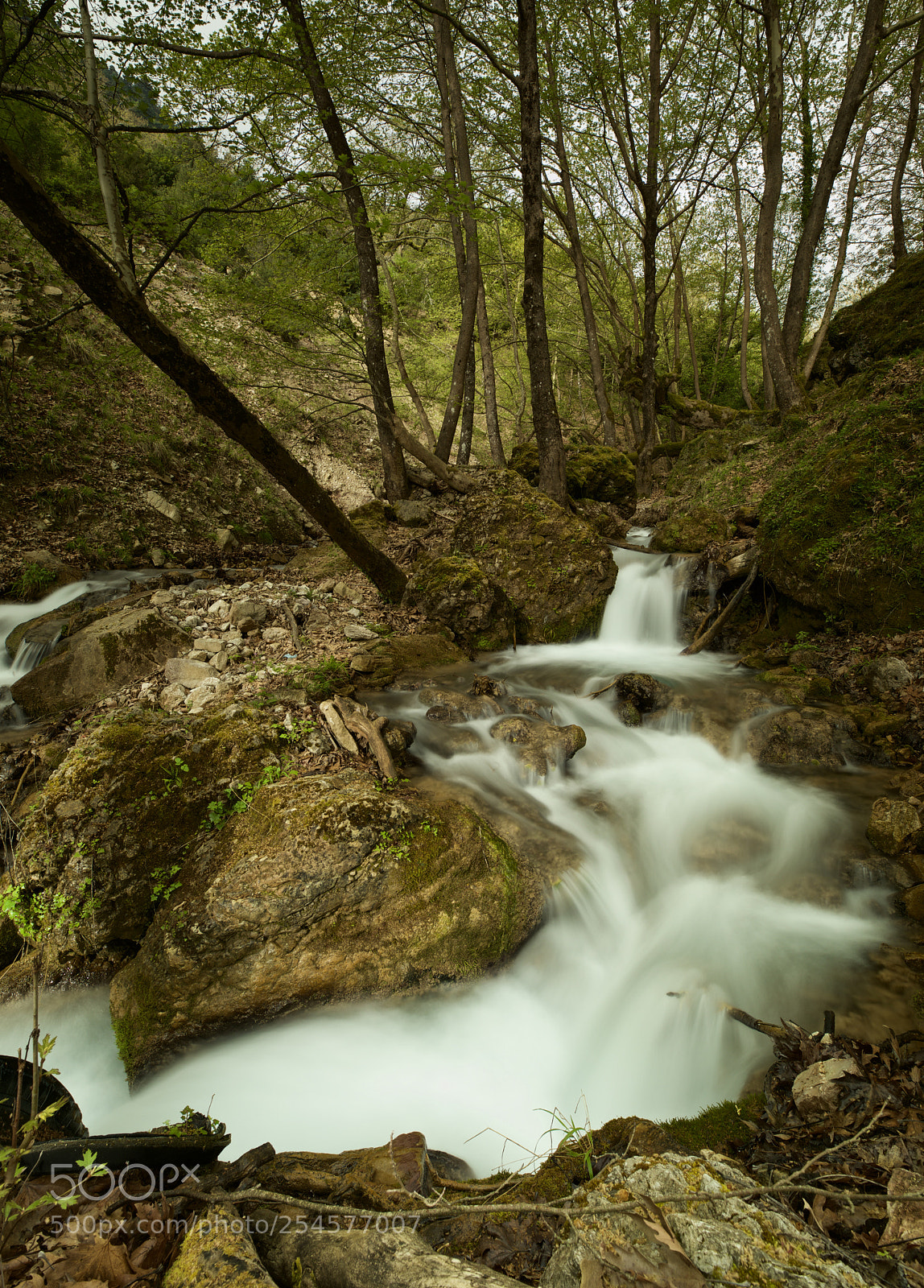 Canon EOS 5D Mark IV sample photo. Flow photography