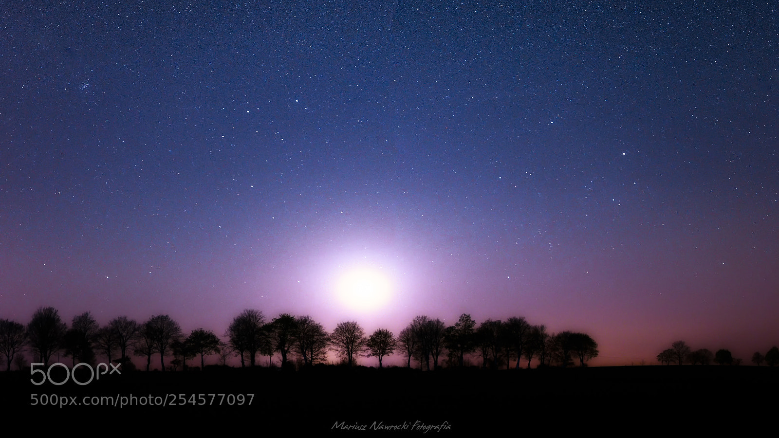 Nikon D7200 sample photo. Moonlight photography