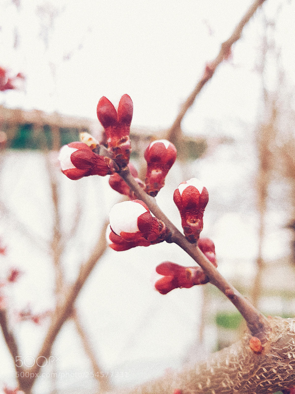 Samsung Galaxy S7 sample photo. Processed with vsco with photography