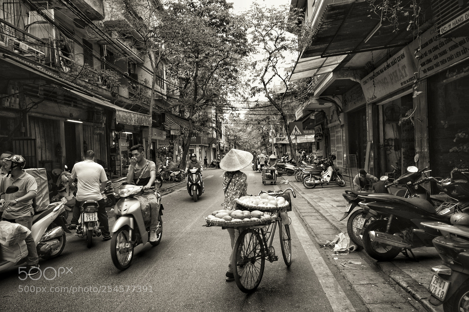 Nikon D7100 sample photo. Untitled photography