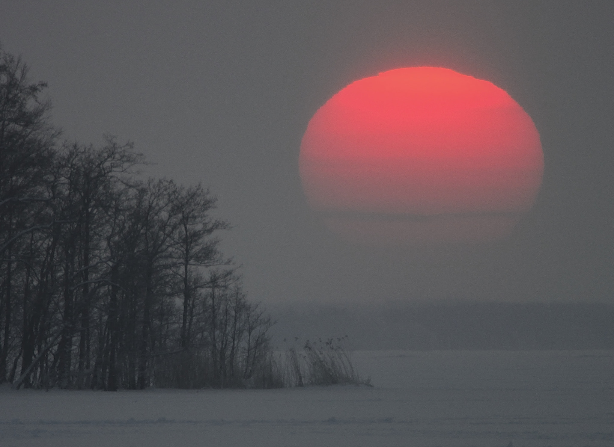 Nikon 1 V2 sample photo. Our solar system photography