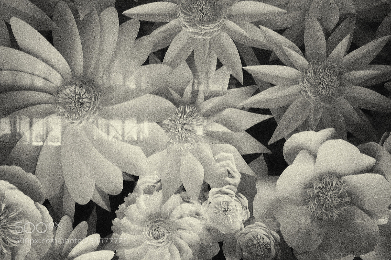 Olympus OM-D E-M5 II sample photo. Take me down photography