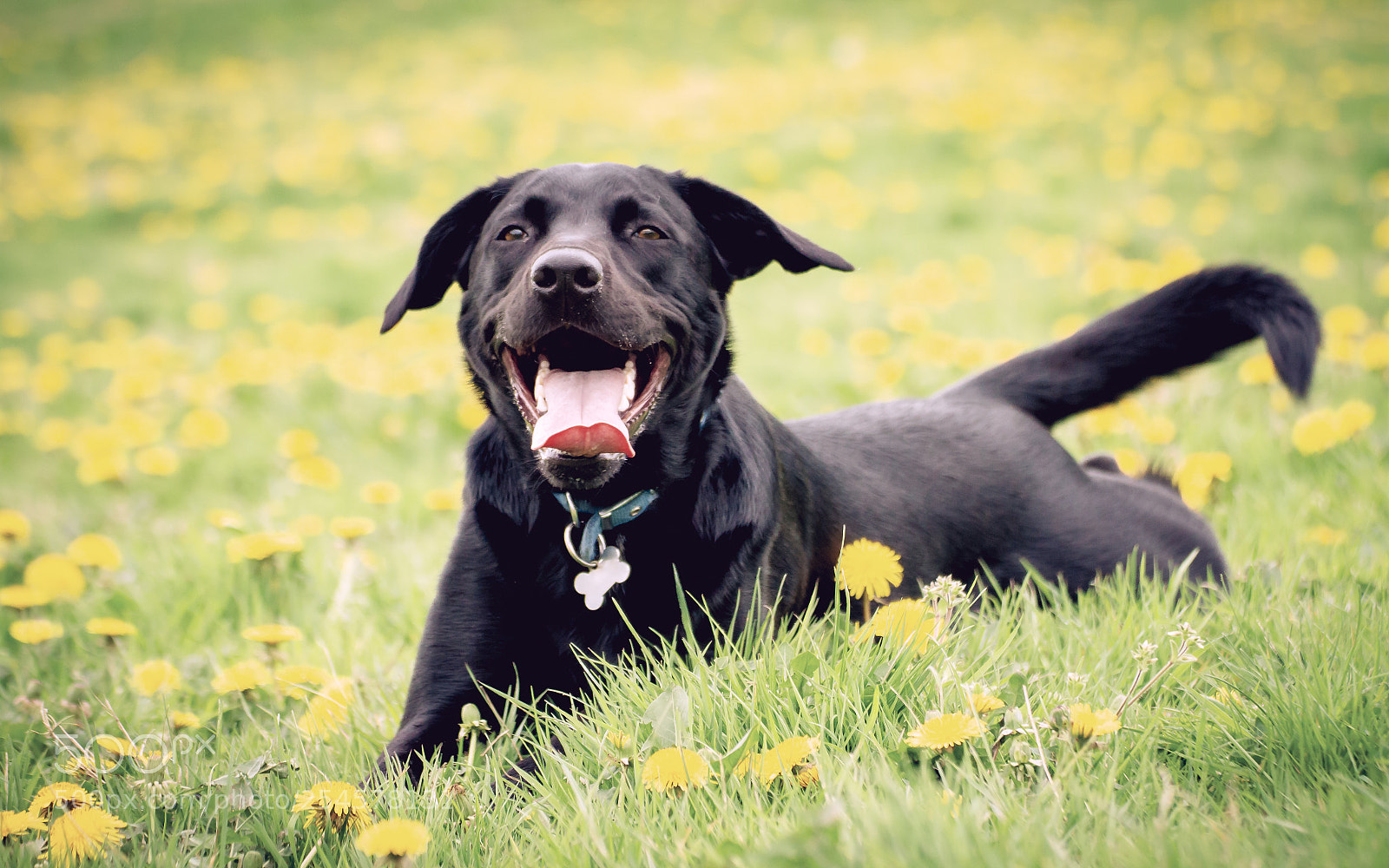 Canon EOS 7D sample photo. Smile photography