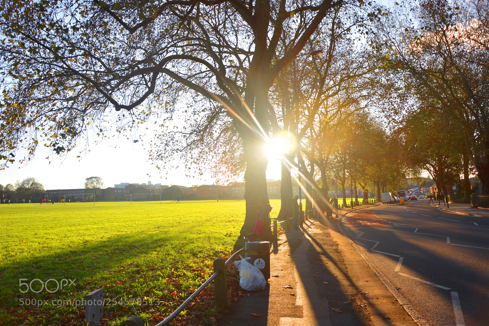 Nikon D5200 sample photo. Green field photography
