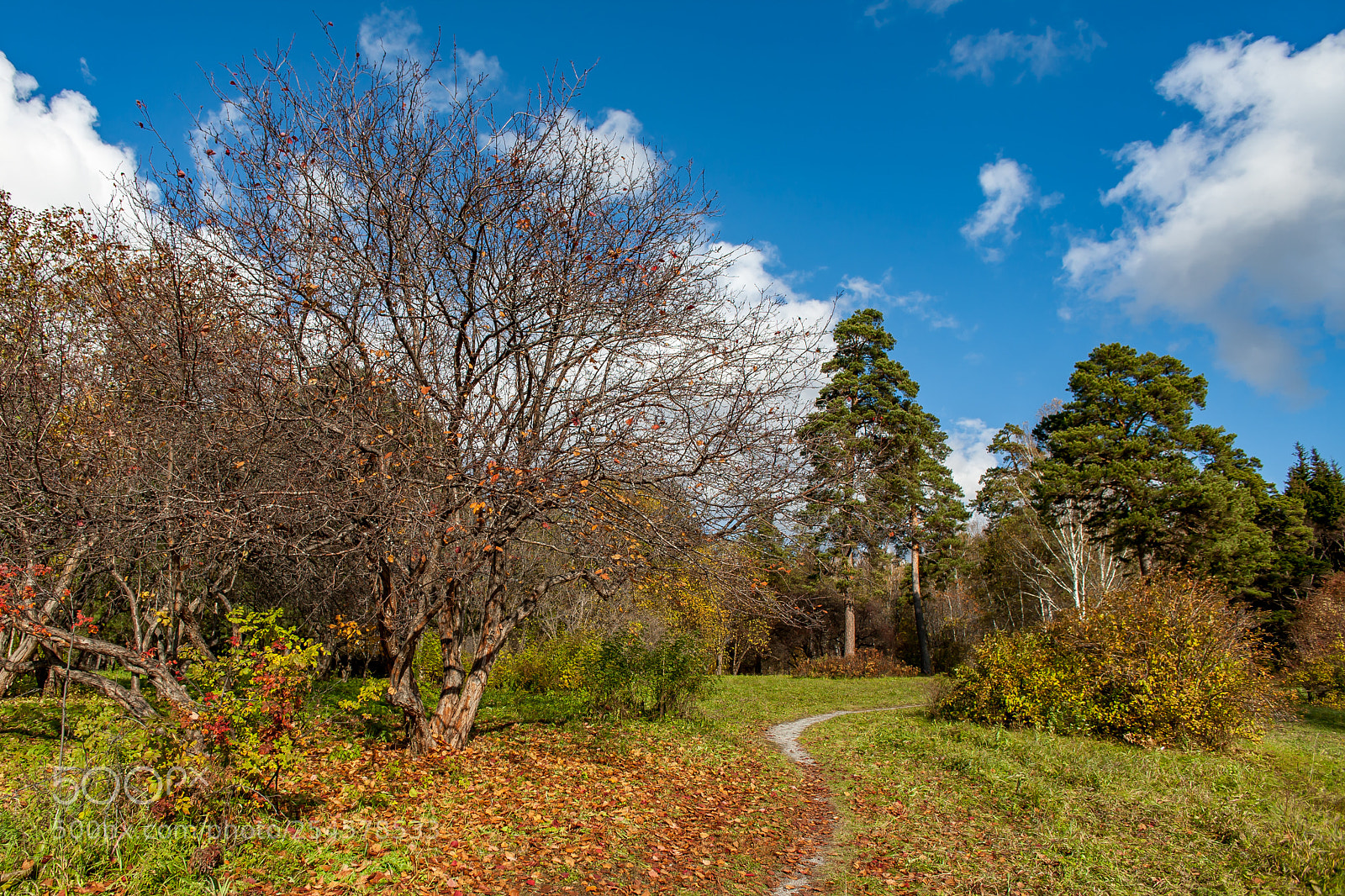 Canon EOS 5D sample photo. Untitled photography