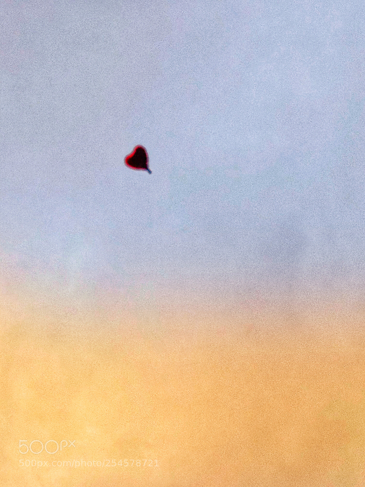 Apple iPhone X sample photo. Untitled photography