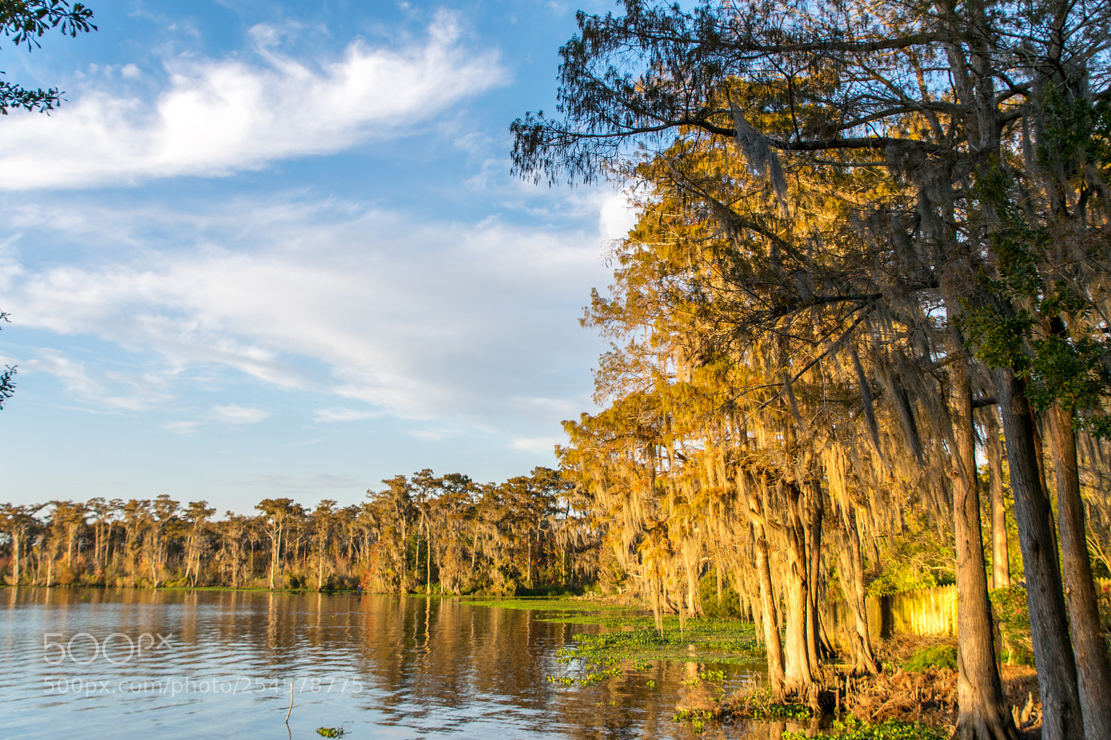 Nikon D3300 sample photo. Bayou sunset photography