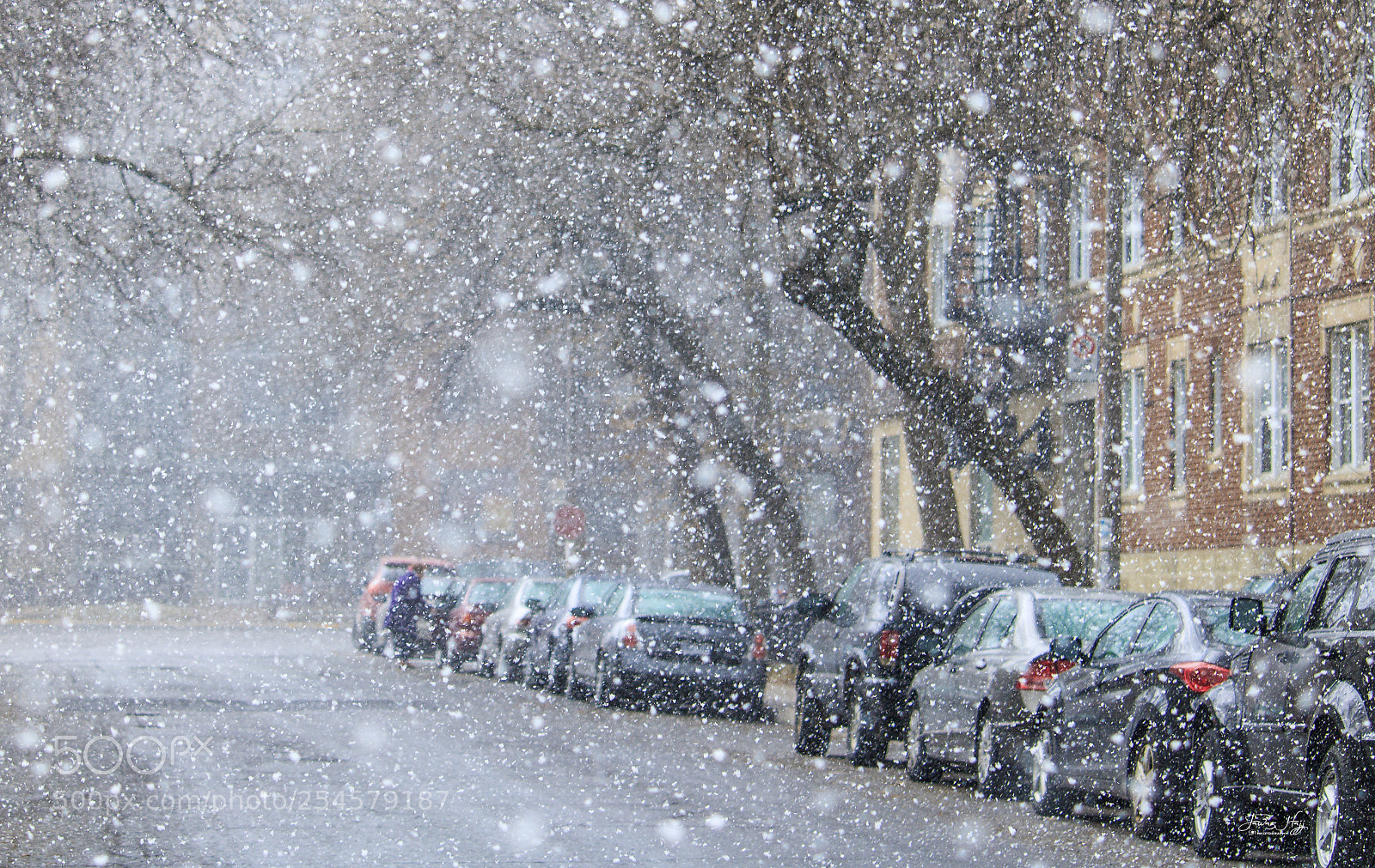 Canon EOS 750D (EOS Rebel T6i / EOS Kiss X8i) sample photo. Snowy morning in montreal photography